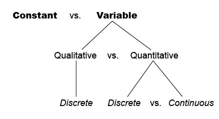 Figure 1. Comparison of Variables and Constant